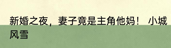 新婚之夜，妻子竟是主角他妈！ 小城风雪