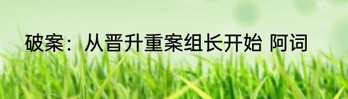 破案：从晋升重案组长开始 阿词