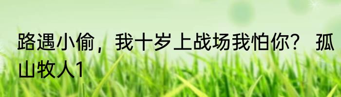 路遇小偷，我十岁上战场我怕你？ 孤山牧人1