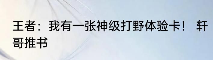 王者：我有一张神级打野体验卡！ 轩哥推书
