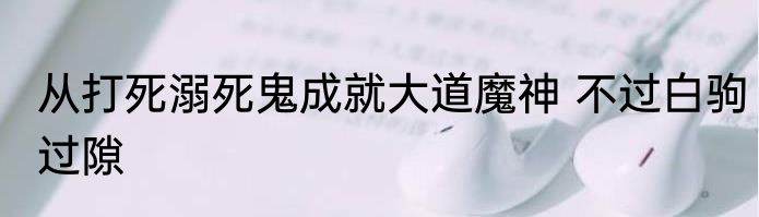 从打死溺死鬼成就大道魔神 不过白驹过隙