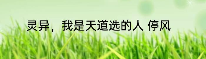 灵异，我是天道选的人 停风