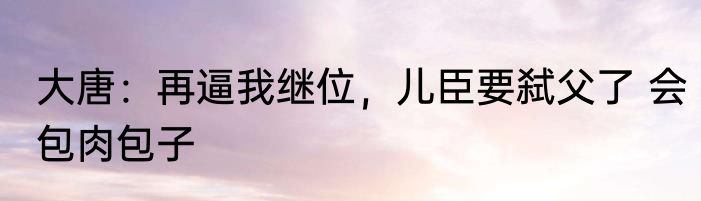 大唐：再逼我继位，儿臣要弑父了 会包肉包子