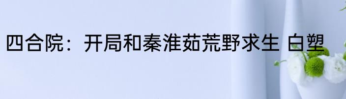 四合院：开局和秦淮茹荒野求生 白塑