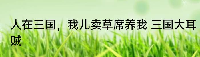 人在三国，我儿卖草席养我 三国大耳贼