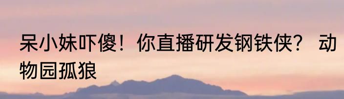 呆小妹吓傻！你直播研发钢铁侠？ 动物园孤狼