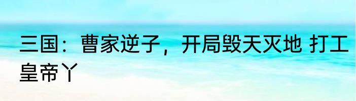 三国：曹家逆子，开局毁天灭地 打工皇帝丫