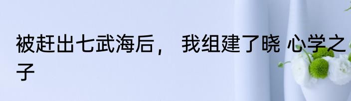 被赶出七武海后， 我组建了晓 心学之子
