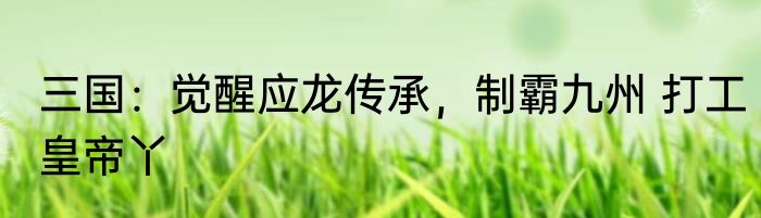 三国：觉醒应龙传承，制霸九州 打工皇帝丫