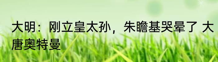 大明：刚立皇太孙，朱瞻基哭晕了 大唐奥特曼