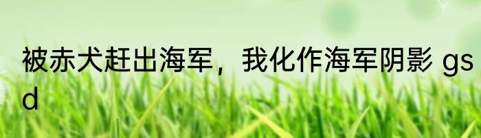 被赤犬赶出海军，我化作海军阴影 gsd