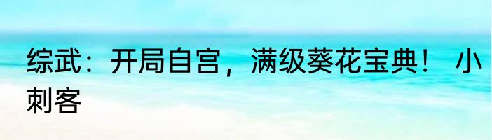 综武：开局自宫，满级葵花宝典！ 小刺客