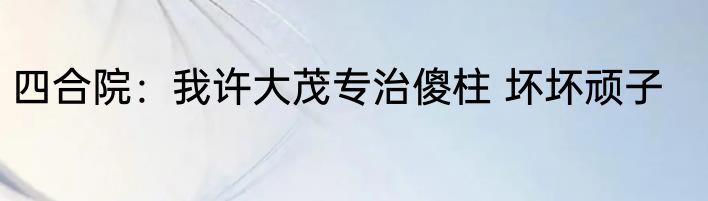 四合院：我许大茂专治傻柱 坏坏顽子