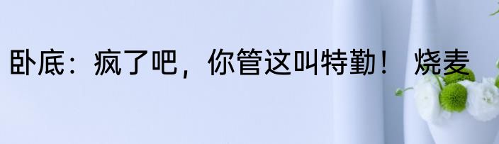 卧底：疯了吧，你管这叫特勤！ 烧麦