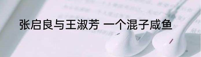 张启良与王淑芳 一个混子咸鱼