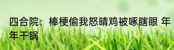 四合院：棒梗偷我怒晴鸡被啄瞎眼 年年干锅