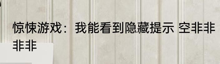 惊悚游戏：我能看到隐藏提示 空非非非非