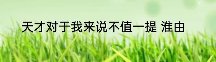 天才对于我来说不值一提 淮由