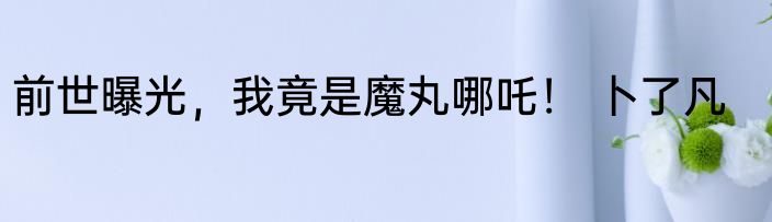 前世曝光，我竟是魔丸哪吒！ 卜了凡