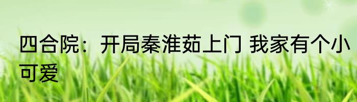 四合院：开局秦淮茹上门 我家有个小可爱