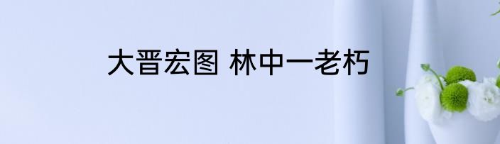 大晋宏图 林中一老朽
