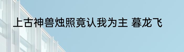 上古神兽烛照竟认我为主 暮龙飞