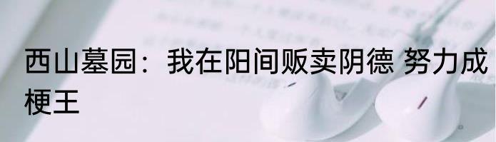西山墓园：我在阳间贩卖阴德 努力成梗王