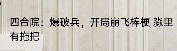 四合院：爆破兵，开局崩飞棒梗 淼里有拖把