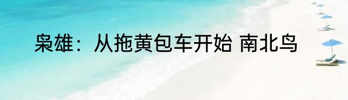 枭雄：从拖黄包车开始 南北鸟