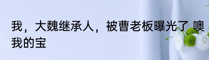 我，大魏继承人，被曹老板曝光了 噢我的宝