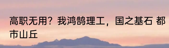高职无用？我鸿鹄理工，国之基石 都市山丘