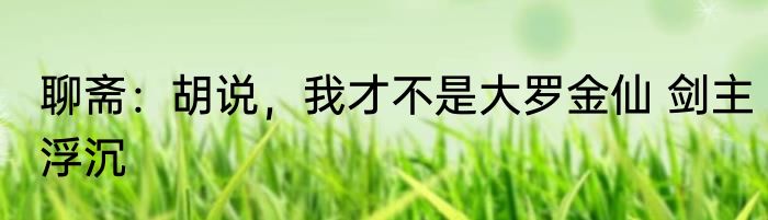 聊斋：胡说，我才不是大罗金仙 剑主浮沉