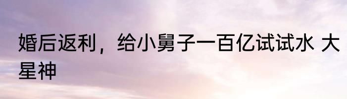 婚后返利，给小舅子一百亿试试水 大星神