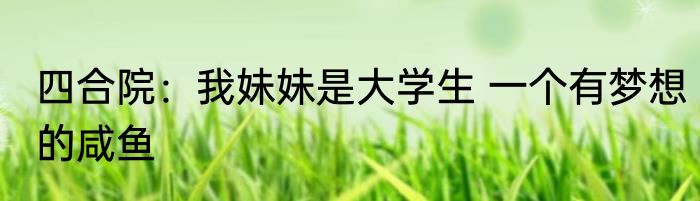 四合院：我妹妹是大学生 一个有梦想的咸鱼