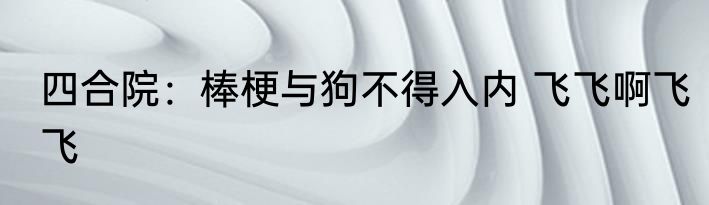 四合院：棒梗与狗不得入内 飞飞啊飞飞