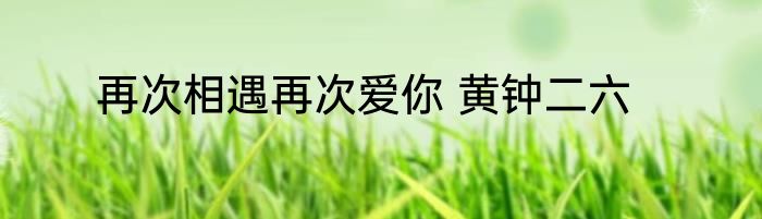 再次相遇再次爱你 黄钟二六