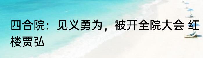 四合院：见义勇为，被开全院大会 红楼贾弘