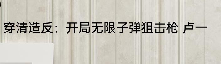 穿清造反：开局无限子弹狙击枪 卢一