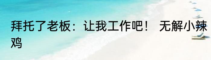 拜托了老板：让我工作吧！ 无解小辣鸡