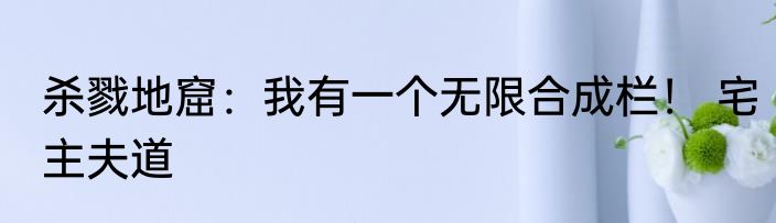 杀戮地窟：我有一个无限合成栏！ 宅主夫道