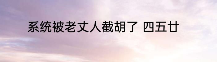 系统被老丈人截胡了 四五廿