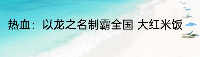 热血：以龙之名制霸全国 大红米饭
