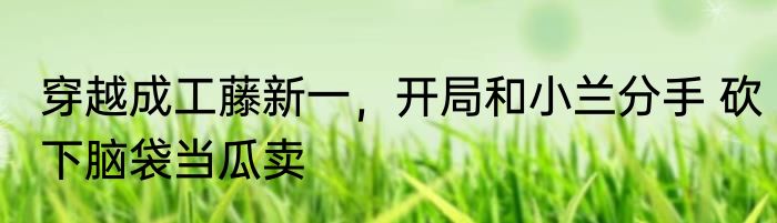 我是逆天小王妃 终而揽镜