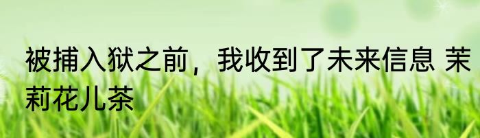 被捕入狱之前，我收到了未来信息 茉莉花儿茶
