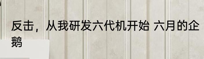 反击，从我研发六代机开始 六月的企鹅