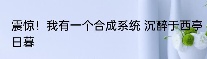 震惊！我有一个合成系统 沉醉于西亭日暮