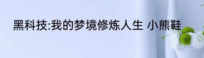 黑科技:我的梦境修炼人生 小熊鞋