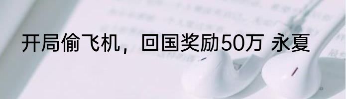 开局偷飞机，回国奖励50万 永夏