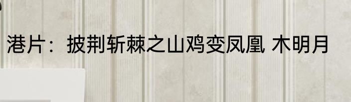 港片：披荆斩棘之山鸡变凤凰 木明月