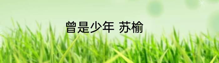 曾是少年 苏榆